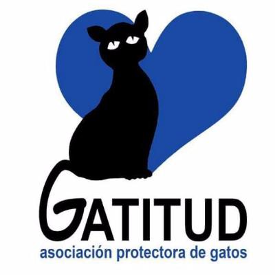 Gatitud Asociación Protectora de los Gatos